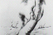 167-4