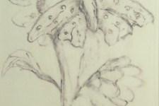 192